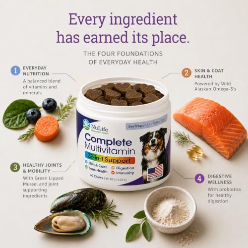 Dog Multivitamin Chewable - 22 in 1 Dog Vitamins and Supplements with Green Lipped Mussel & Omega 3 for Joints, Skin & Coat, Immune System - Senior & Puppy Multivitamin for Dogs - 60 Beef Chews