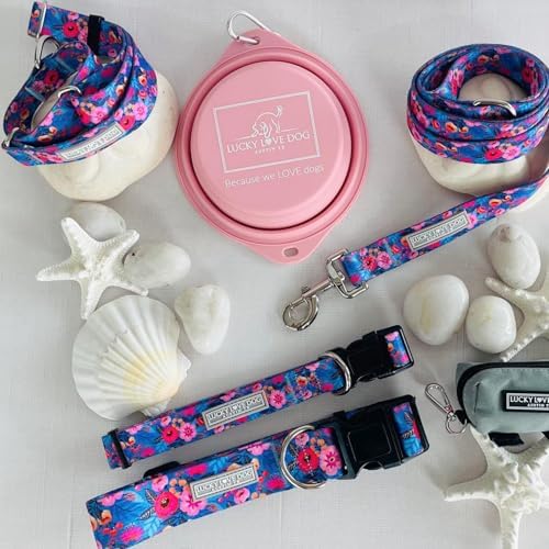 Lucky Love Dog Martingale Collar for Small Dogs No Slip Cute – Zuzu, Small