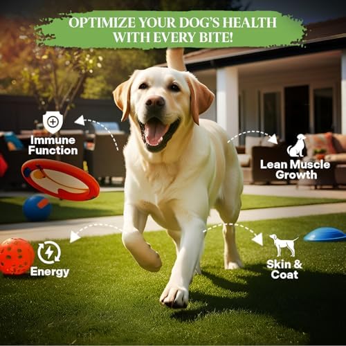 Healthy Dogma - PetMix Dehydrated Lamb Dog Food