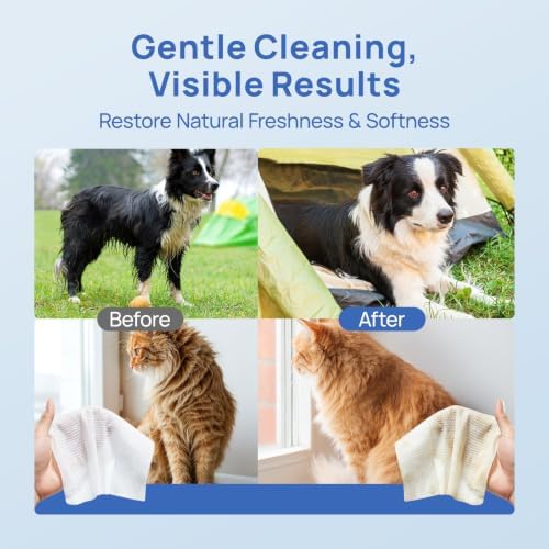 HICC PET Dog Wipes for Dogs & Cats, French Mineral Water, 110 Count
