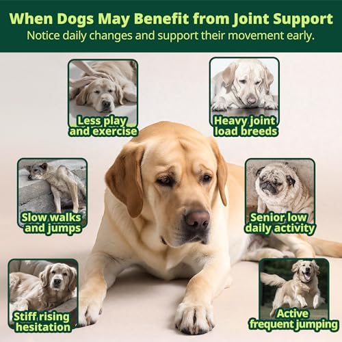 Liquid Collagen for Dogs, Skin & Coat & Joint Support, 2 fl oz