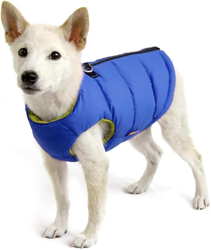 Gooby Padded Vest Dog Jacket - Solid Blue, Large - Warm Zip Up Vest Fleece Jacket with Dual D Ring Leash - Winter Water Resistant Sweater - Clothes for Small and Medium Dogs