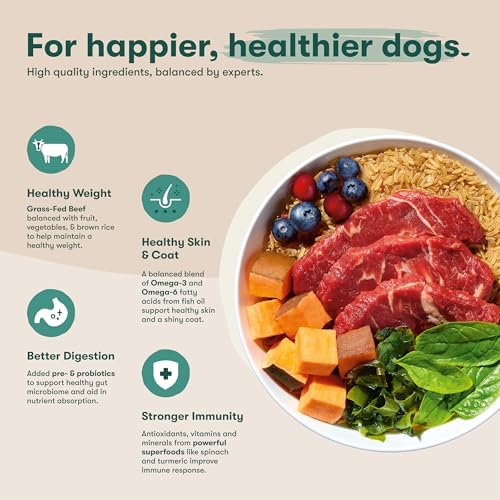 Jinx Dry Dog Food, Large Breed - Beef, Brown Rice & Sweet Potato, 11.5lb