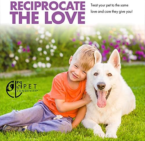 Same 200 mg Pet Supplements – Liver and Joint Support for Medium Size Dogs with Elevated Enzymes – S Adenosyl Methionine - 50 Gluten Free Enteric Coated Tablets – Non GMO Certified