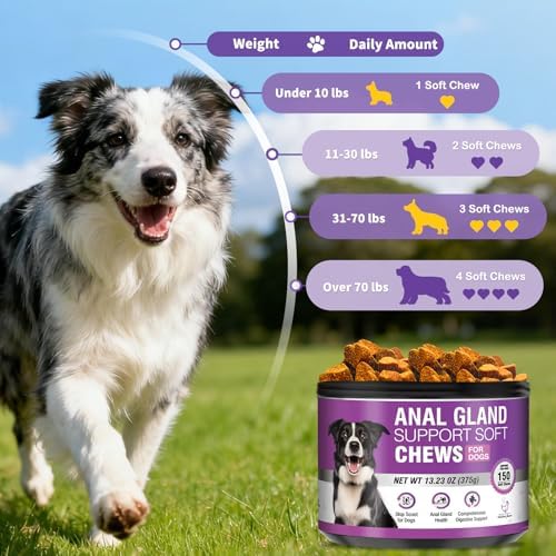 Dog Anal Gland Soft Chews 150 Stop Scoot for Dogs Supports Anal Gland Bowel Function Digestive Health Fiber Pumpkin Supplement for Dogs Pet Diarrhea Bowel Support Probiotics Digestive (Chicken Flavor)