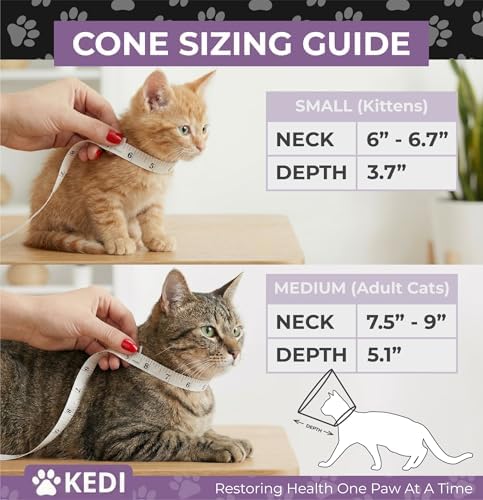 Cat Cone Collar After Surgery to Stop Licking, Escape-Proof, Black Small
