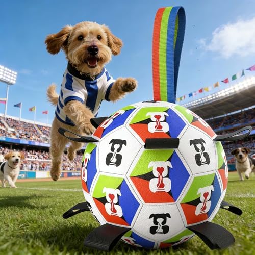 HEYLIFE Interactive Dog Soccer Ball Toy with Straps for 20-40 lbs Dog