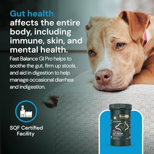 VetriScience Veterinary Strength Gut Health Powder, 60 Servings