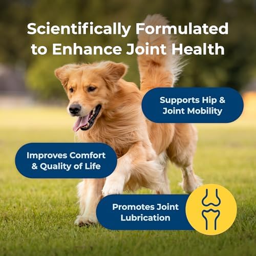 PetAg Dyne Joint Health & Mobility Soft Chews for Dogs | 45 Count