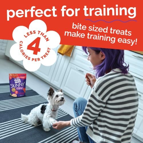 Fruitables Skinny Mini Dog Treats, Training Treats, Bacon & Apple, 12oz