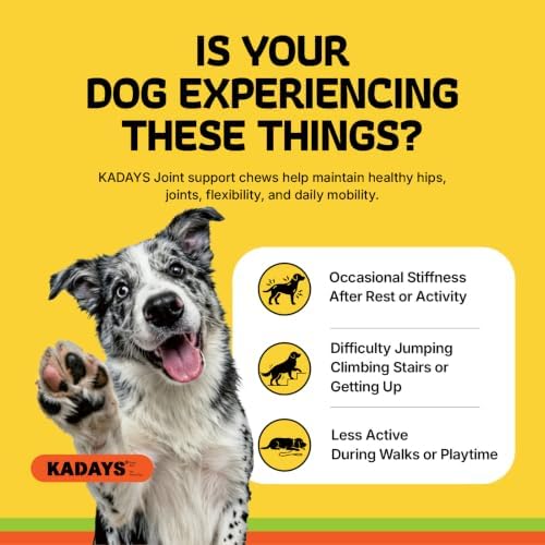 Dog Joint Supplement for Dogs 70ct, Glucosamine Chondroitin for All Dogs