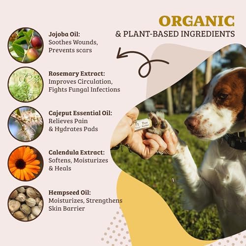 Natural Dog Company Paw Soother Balm Bundle, with 4 Travel Sticks (0.15 oz Each), Lotion, Moisturizes & Soothes Irritated Paws & Elbows, Protects from Cracks & Wounds, Lick-Safe, Made in USA