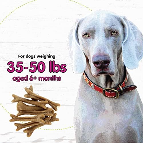 Fido Belly Bones for Dogs, Medium - 8 Count - Yogurt-Flavor Dental Treats for Medium Dogs - Plaque & Tartar Control for Fresh Breath - Digestive Support - Made in USA