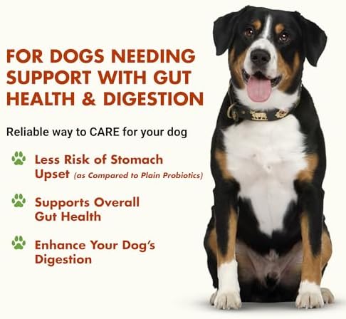 Pre & PostBiotic Dog Support - Digestive & Stool Quality, Picky Eaters