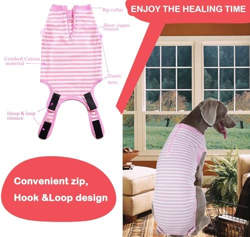Recovery Suit for Female Dogs, Dog Cone Alternative After Spay