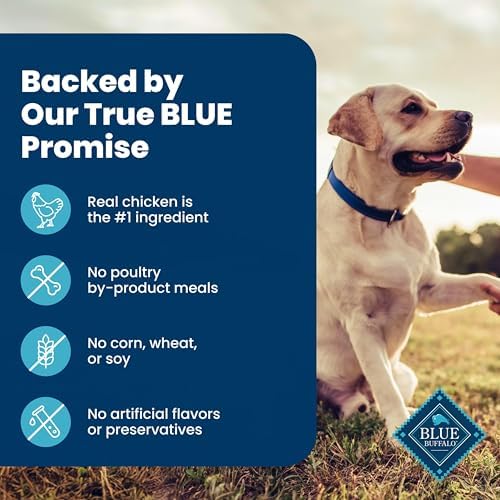 Blue Buffalo Homestyle Recipe Chicken Senior Wet Dog Food, 12.5 oz, 3 ct