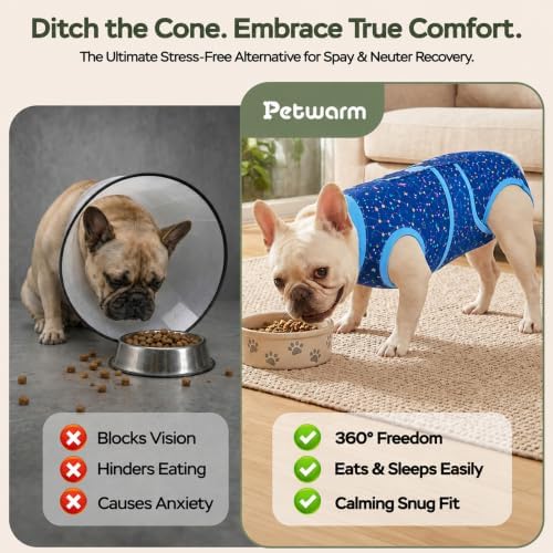 PetWarm Post-Spay Dog Suit, Dog Bodysuit for Spay Neuter, Galaxy, Blue, XS