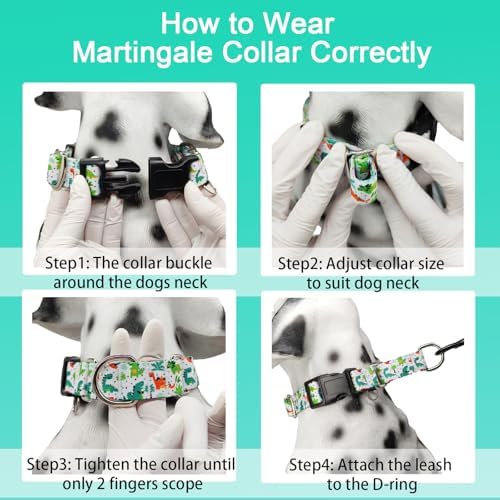 Martingale Dog Collars with Buckle No Pull Training Dog Collar for Small Dogs (Green Dinosaur, Small)