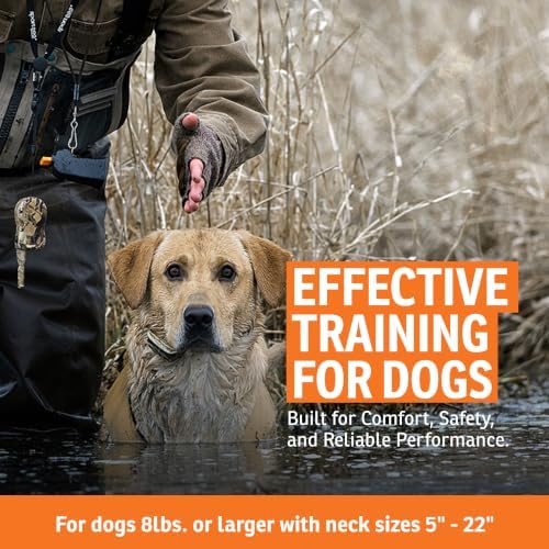 SportDOG WetlandHunter 425X Remote Trainer, Camouflage, 500-Yard Range