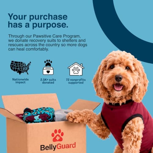 BellyGuard Dog Surgery Recovery Suit, Male Female After Spay Neuter Onesie