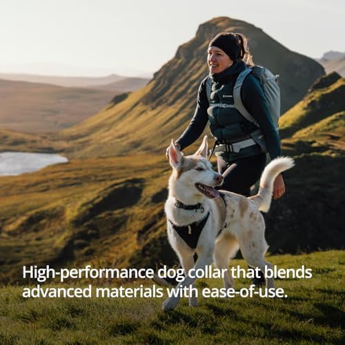 Ruffwear, Ridgeline Dog Collar, Magnetic Buckle, Obsidian Black, 11"-14"
