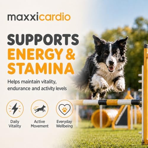 maxxipaws maxxicardio Natural Heart Support Supplement for Dogs, 3.2 oz