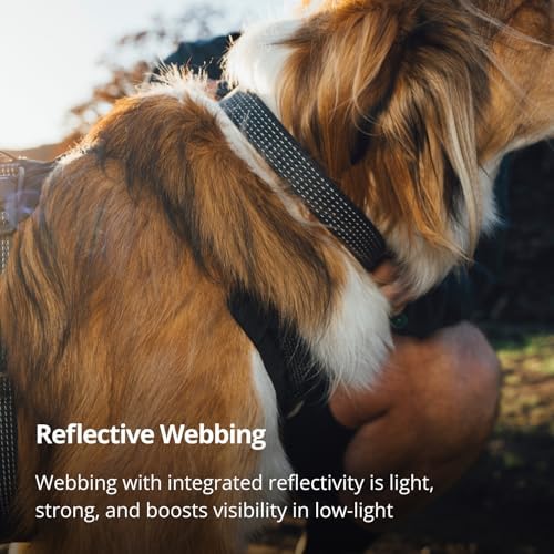 Ruffwear, Ridgeline Dog Collar, Magnetic Buckle, Obsidian Black, 11"-14"