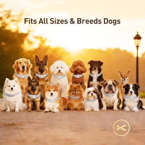 Flea and Tick Collar for Dogs 4 Packs,Dog Collars with Natural Essential Oils,Waterproof, Adjustable for Small Medium Large Dogs,Safe for Puppies