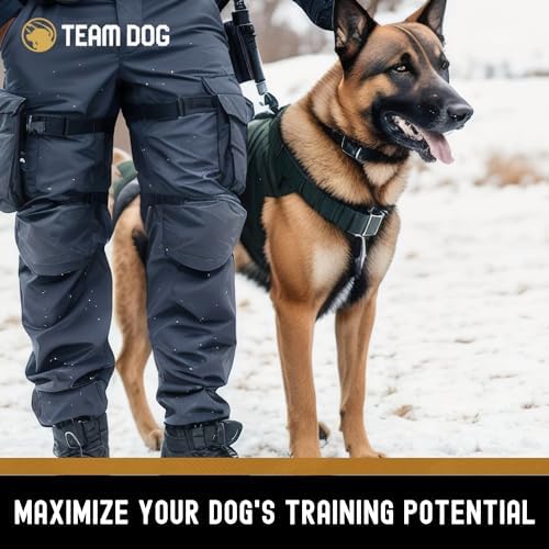 Team Dog Beef Heart, Lung & Liver Dog Treats, 5.4 Oz, Gluten-Free, Grain-Free Training Treats