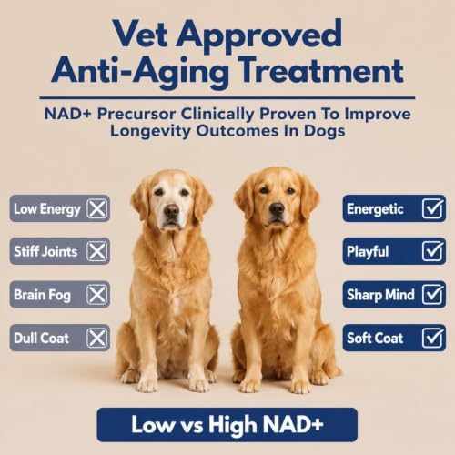 NAD+ Precursor Senior Dog Supplement – NMN Alternative Soft Chews for Longevity, Healthy Aging & Cellular Energy – Nicotinamide Riboside (NR), Resveratrol, Quercetin, Glucosamine & Omega-3