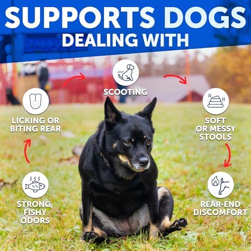 Anal Gland Support Chews for Dogs - Bye Scoot - Dog Fiber Chews w/ Pumpkin