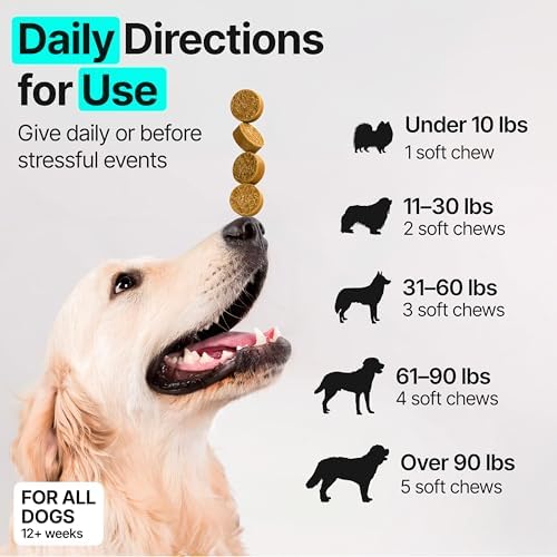 Hip and Joint Supplement for Dogs – Glucosamine for Dogs, Dog Joint Supplement, Mobility, Flexibility & Comfort, Chews with Glucosamine Chondroitin Msm & Omega3, 1 Pack,170 Chews,Made in USA