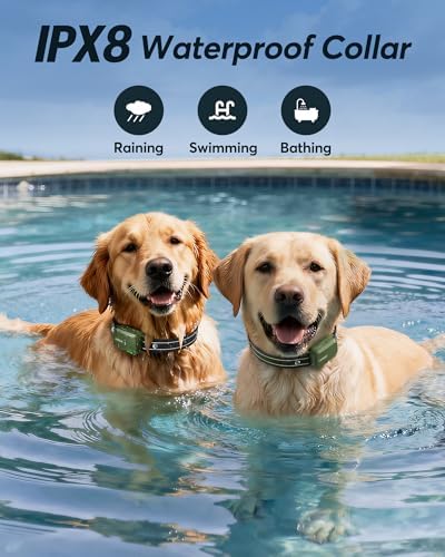 Dog Shock Collar for 2 Dogs- Dog Training Collar with Remote 4200FT, IPX8 Waterproof Electric Dog Collar with 4 Training Modes, Security Lock, Rechargeable eCollar for 10-120lbs Dogs