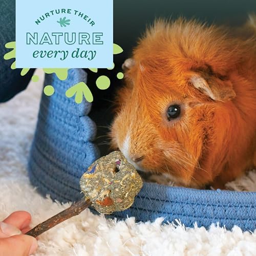 Oxbow Timothy Hay Flowers, Rabbit & Guinea Pig Toy, Bunny Enrichment Chew