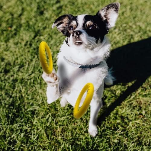 Dog Flying Disc,Floating Dog Ring Toys, Indestructible Dog Chew Toys for Small Chewers Dog Toys for Pool,Float Durable Outdoor &Indoor Puppy Toy for Throwing,Catching,Swimming,Training
