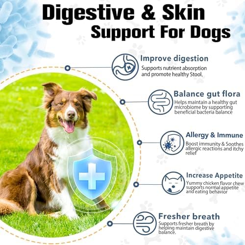 Probiotics for Dogs Supports Digestive Health, Natural Probiotic Supplement with Digestive Enzymes and Prebiotic, Probiotic Chews for Dogs Gut Health, Relieve Diarrhea, Itchy Skin, Enhance Immunity