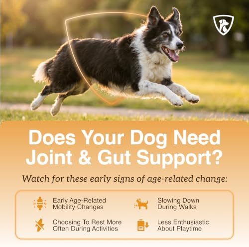 NutraRegen Select Optima Dog Joint Supplement for Senior Dogs – Glucosamine, Chondroitin & MSM + Probiotics & Prebiotics – Mobility, Joint & Digestive Health – 60 Scoops
