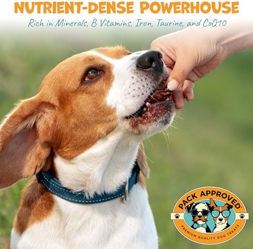 Pack Approved Dehydrated Beef Heart Dog Treats - 3.5oz
