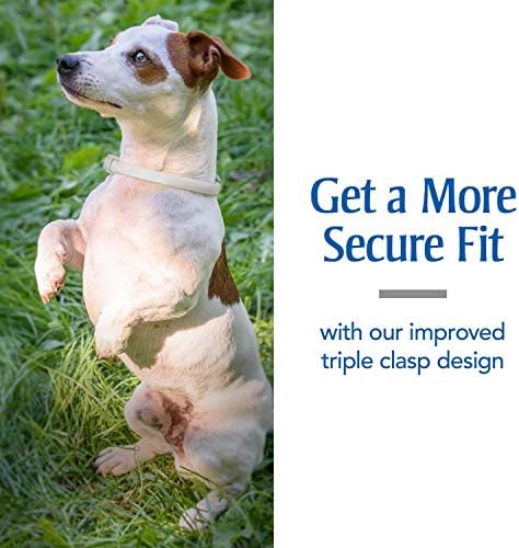 PetArmor Flea & Tick Collar Dogs, 6-Month Protection, 1-Pack