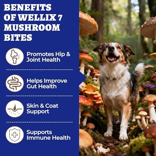 Wellix 550 Bites 7 Mushroom Chews with Turkey Tail for Dogs, Chicken