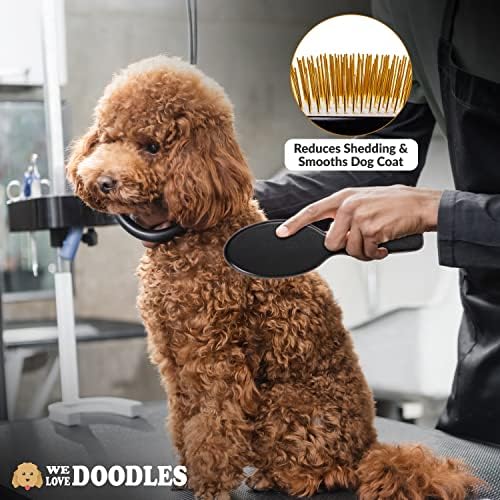 We Love Doodles Dog Ear Cleaning Solution Kit and Pin Brush for Dogs Bundle - Prevent Infections, Itching and Deordoring - Dog Brush for Shedding and Removing Loose Fur - Made in USA