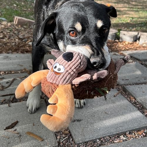 KONG Sherps Floofs – Plush Dog Toy with Flat Squeaker & Crackly Noise – Soft, Snuggly Cuddly Toy for Indoor Fetch & Gentle Play, Durable Lined Design (Moose/Sheep Combo)