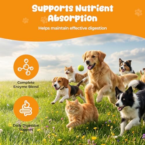 Pancreatic Enzymes for Dogs, EPI Support with Porcine Pancreatin Powder