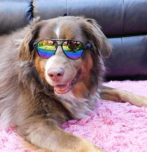 G010 Dog Pet Costume Prop Aviator Sunglasses Medium Breeds 20-40 lbs (Black-Rainbow Mirror)
