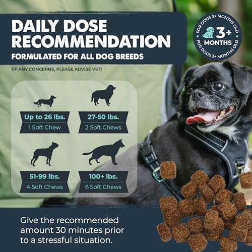 Mighty Paw Calming Chews for Dogs with Melatonin, Waggables, 120 Count