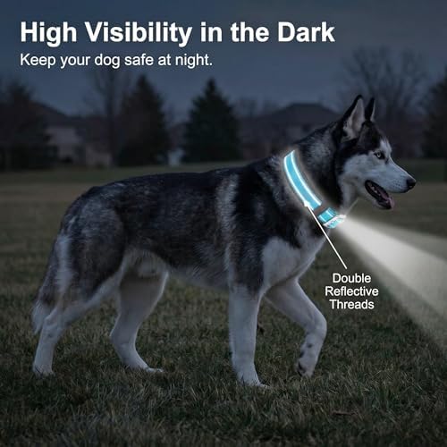Reflective Dog Collar for Small Dogs Wide Padding 6 Holes Adjusta