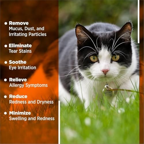 Dog Eye Drops – Vet Recommended Pet Eye Drops to Clean and Soothe Eye Infections, Allergies, Dry & Pink Eyes, Tear Stain Remover for Dogs, Cats, Horses & Birds (30 ml)