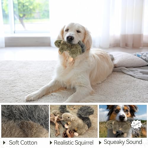 ALL FOR PAWS Interactive Dog Squirrel Plush Squeaky Toy - Perfect Puppy Enrichment Toy, Large