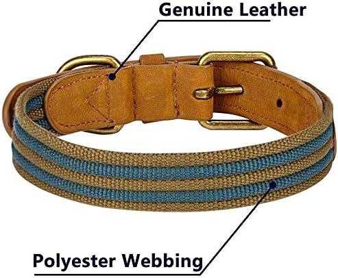 Blueberry Pet Soft & Comfy Genuine Full Grain Leather & Polyester Combo Adjustable Dog Collar - Classic Staple Striped in Navy and Olive, Small, Neck 12"-15"