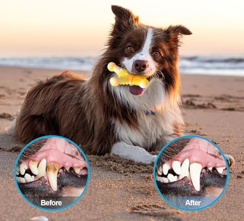 NEZIN Dog Chew Toys, Indestructible Dog Toys for Aggressive Chewers, Tough Dog Toys, Durable Dog Chew Toys for Large Medium Breed, Interactive Dog Toys with Real Beef Flavor (Mix 3 Pack)